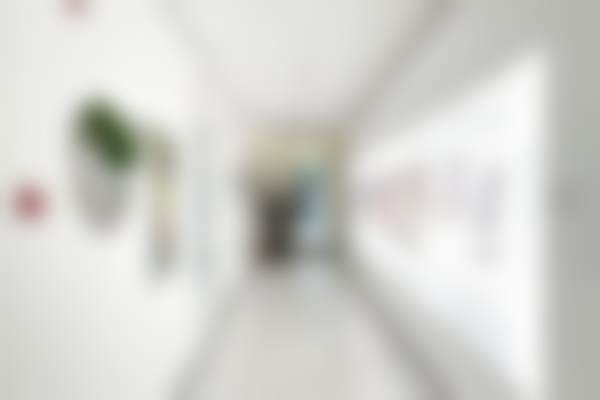 北京纯脂医疗美容门诊部收费标准参考