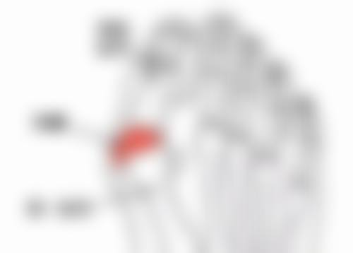 鞍山白大夫医疗美容诊所电话号码及预约方法