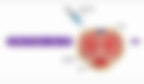 济南九紫嘉美整形医院地址