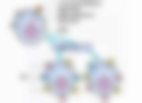 毛囊的分离和培养