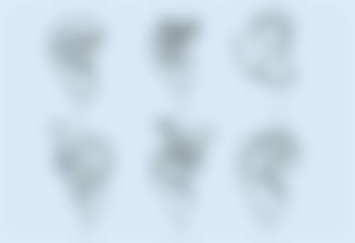 头发种植后的管理