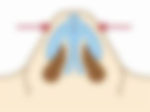 温岭壹臣医疗美容门诊部医生简介