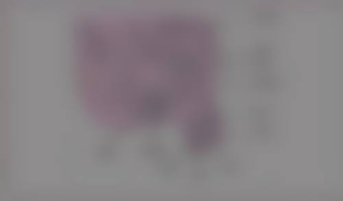 总结——乌鲁木齐康小燕整形门诊部怎么样?