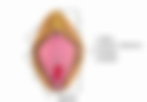 整容把嘴唇整薄的手术前后要注意什么