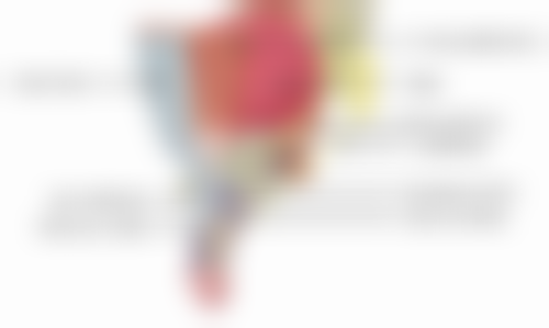 韩国维摩整形外科医院医生简介