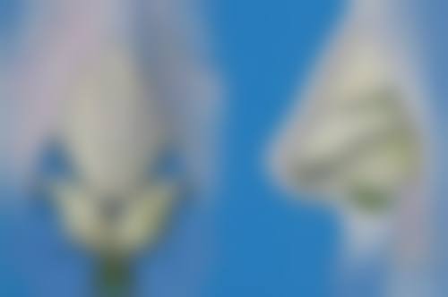 本溪王小明医疗美容诊所硬件设备精良!