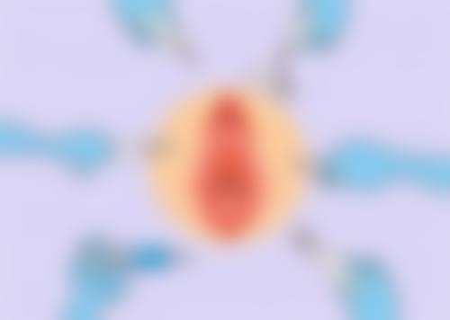 耳软骨隆鼻选取特定部位的原因