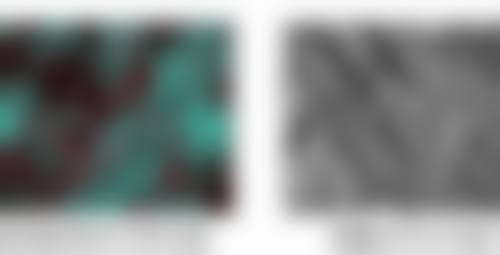 总结——沈阳美联致美整形医疗美容门诊部怎么样？