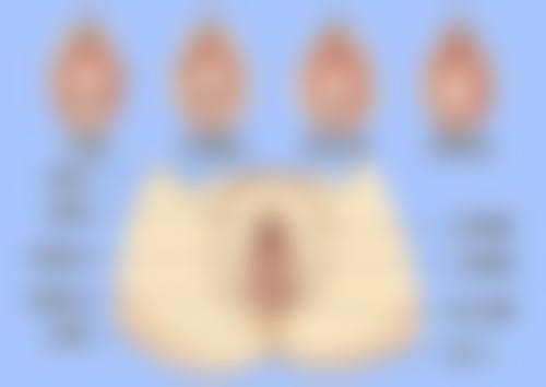 沈阳美联致美整形医疗美容门诊部地址