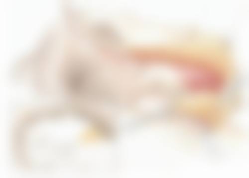 阴唇缩小手术要住院吗？一般不用但特殊情况需住，恢复时间、费用等情况如何 