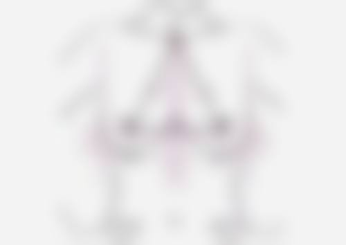 种植头发的术后管理过程