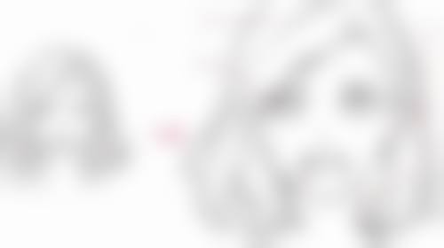 毛囊提取的方法