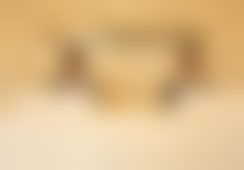 北京圣嘉新医疗美容医院的整体情况如何？