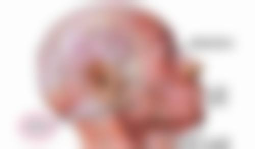 全身抽脂术有危害吗？有感染出血等风险，做好这些可降低危害