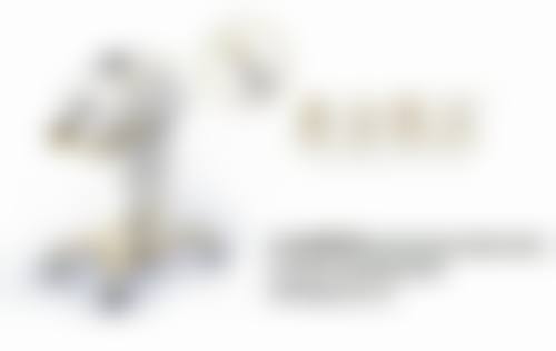 毛囊的分离和培养