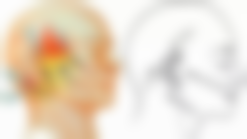 毛囊分离和培养的过程是怎样的