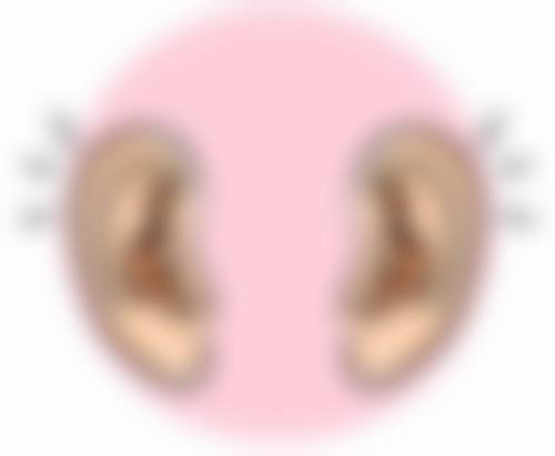 头发种植只能用自己的毛囊吗？亲属毛囊不行，其他部位毛发可用但效果或不理想 