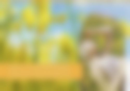 丹东富雅华医医疗美容诊所毕伟医生挂号预约攻略