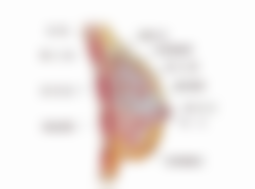 毛囊种植有哪些方式