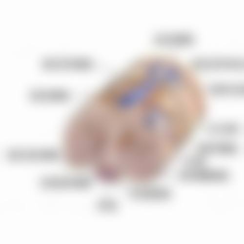 如何保护瘦脸针注射发挥良好作用