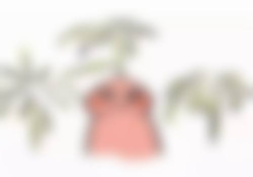 广州美博汇医疗美容门诊部罗科义医生口碑评价如何?