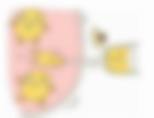 蚌埠尚颜医疗美容门诊部刘堂彬医生技术好不好？