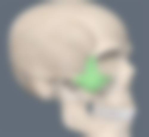 江门市蓬江区俏姿美容医院技术好不好？