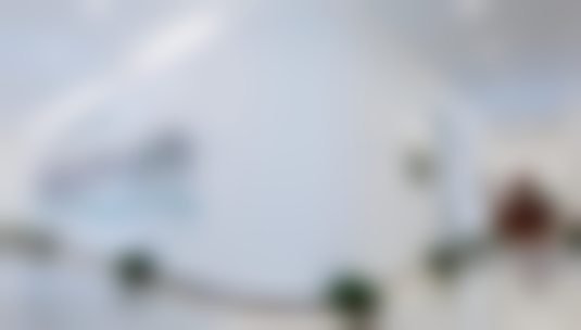 冯斌医生的技术特色