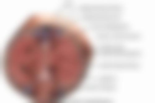 杭州新福柏整形医院医生简介