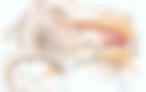 河北衡水莱茵医疗美容诊所营业时间