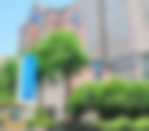 上海张权医生擅长的手术项目有哪些?