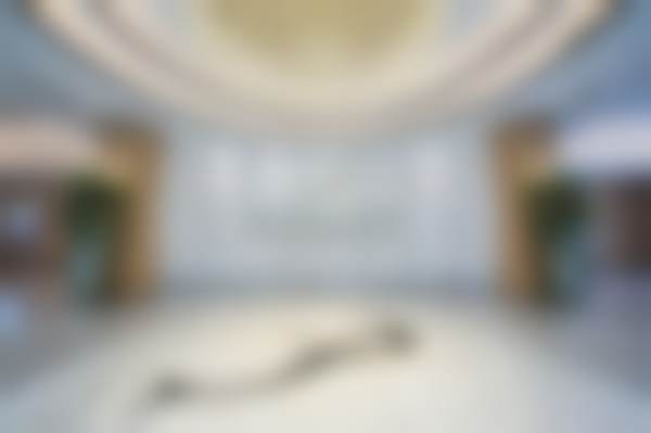 武汉美莱医疗美容医院顾陆健医生口碑评价如何？