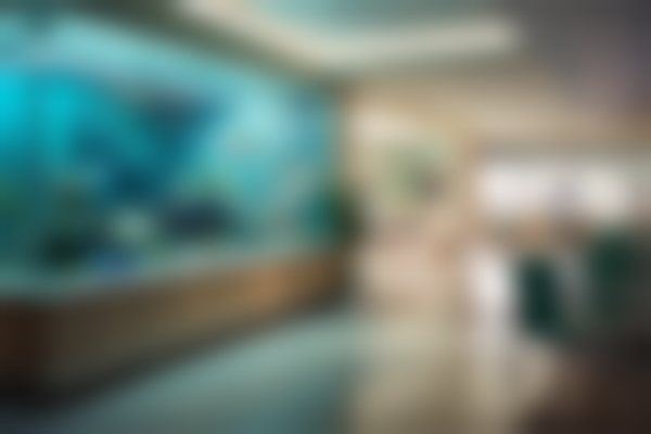 通辽天立美整形美容院