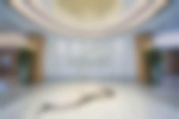 武汉美莱医疗美容医院钻石超塑价格