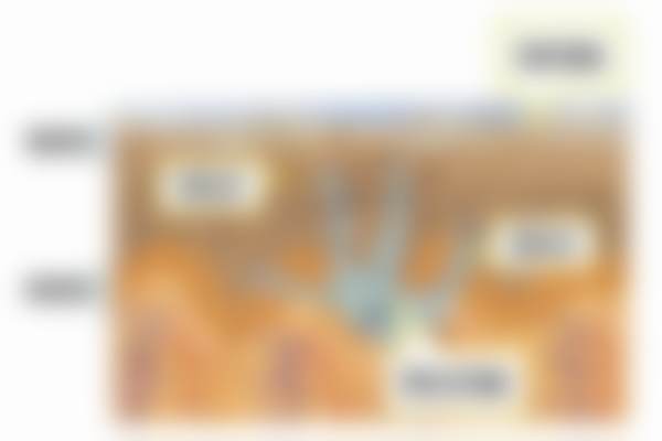 总结——成都天使之翼医学美容医院黄婷婷医生怎么样?
