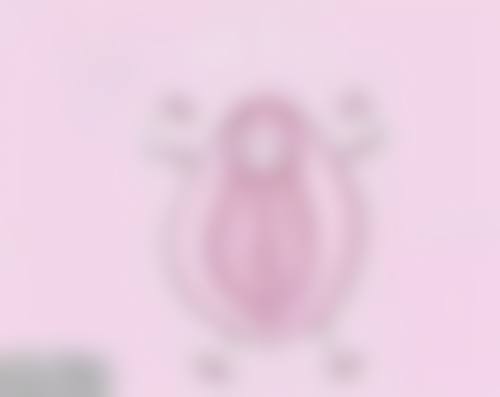 美国傲诺拉假体：专为东方女性设计