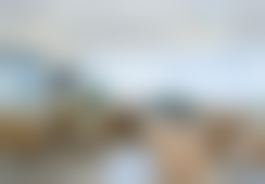 重庆星荣整形外科医院文锦利医生口碑评价如何？