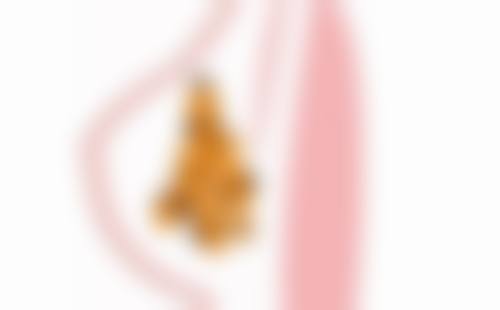 韩国Flora整形外科收费标准参考