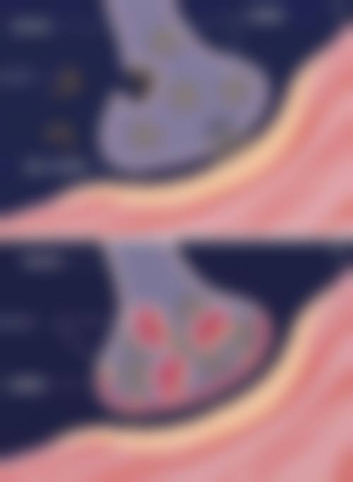 湘南美容 所泽院地址