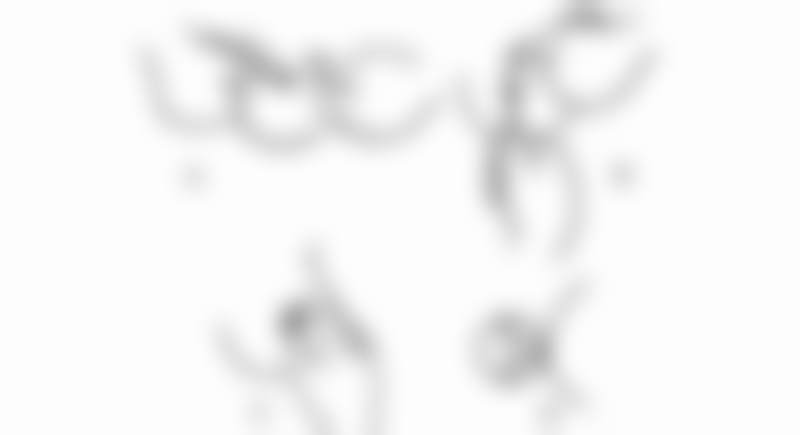广州高尚医学美容中 心开展的项目及价格