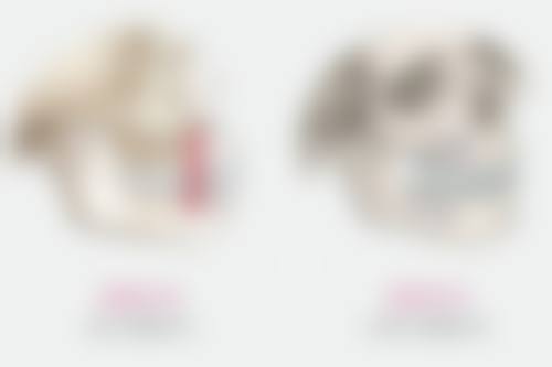 攒竹穴——缓解眼部疲劳减轻下眼袋
