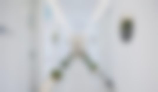 冯斌医生的专精背景如何?