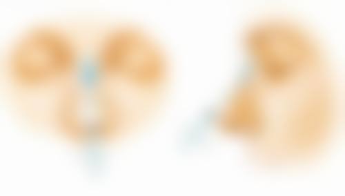 绿茶叶去眼袋的成效评估