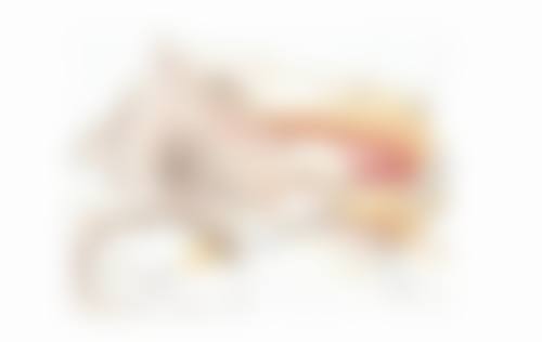 不同类型眼袋小疙瘩的消除方法