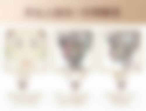 韩国KOKO整形外科医生简介