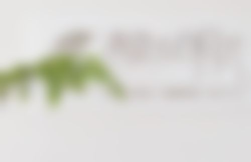 南京清泉白月光医疗美容诊所医院技术好不好?