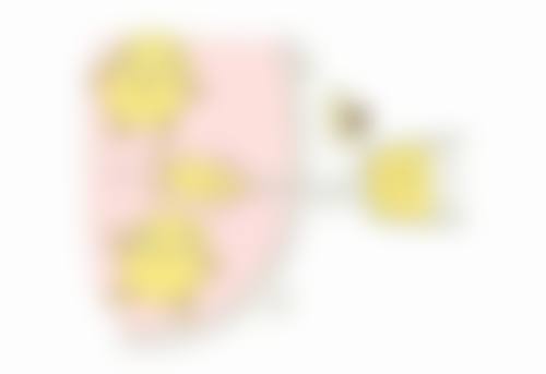 Rose双眼皮是割的吗总结
