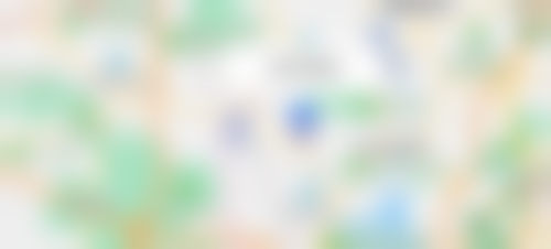 罗奇医生的技术特色有哪些?