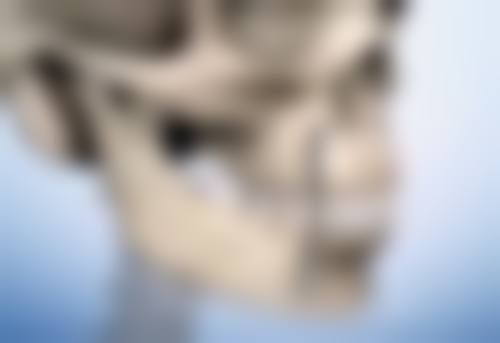 种植头发一株是多少？受技术、地区等因素影响，各地价格差异大