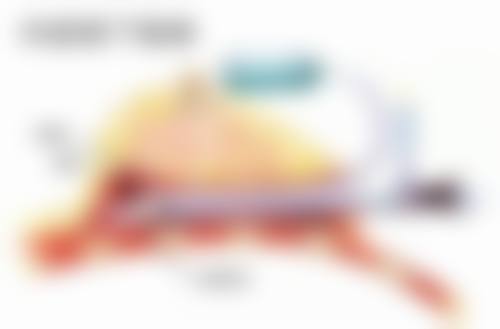 影响疤痕修复时间的因素